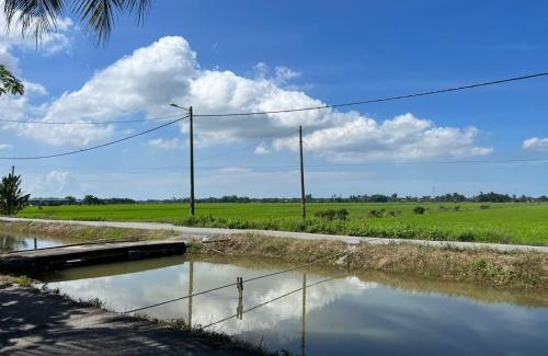 Bagan Serai House | Rimbunan Padi Roomstay