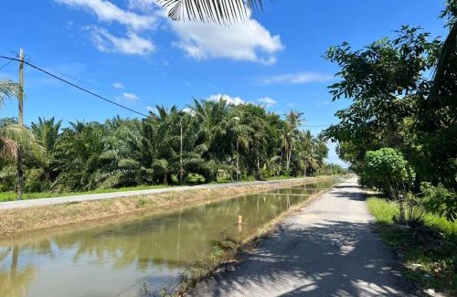 Bagan Serai House | Rimbunan Padi Roomstay