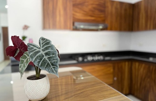 Zona Dorada Apartment | Rincon Colonial Apartments