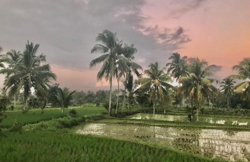 Kotaraja House | Rinjani Terrace Cottage