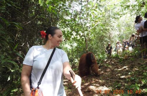 Bohorok Villa | Rinte Green Village & Bukit Lawang Jungle Trekking