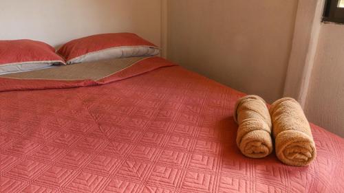 Katira Hotel | Rio Celeste Cabinas Vista Tenorio