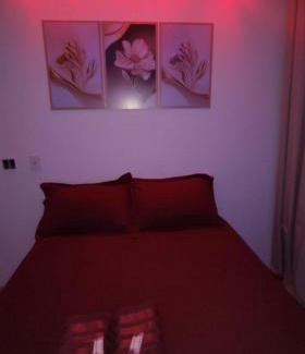 Sao Cristovao Apartment | RIO DE JANEIRO São Cristóvão Klein