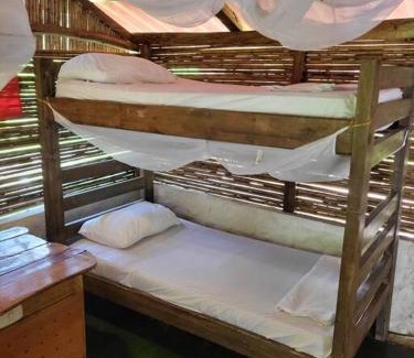 Papare House | Rio Escondido