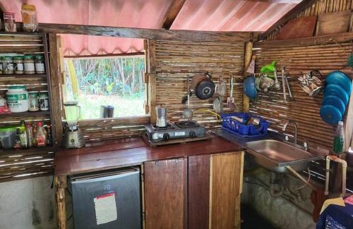 Papare House | Rio Escondido