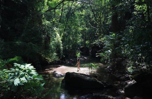 Fortuna Hotel | Rio Perdido Hotel & Thermal River