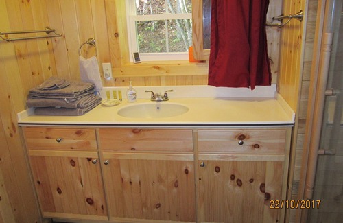 Roan Mountain House | Ripshin Mountain studio apartment