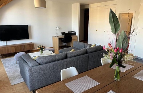 Geneva Apartment | Rive Lake Rhône Flat