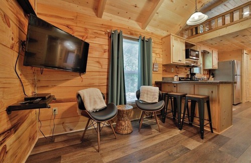 Lookout Valley Neighborhood Association Apartment | River Cabin | Hot Tub & Swim Spa | Near Downtown