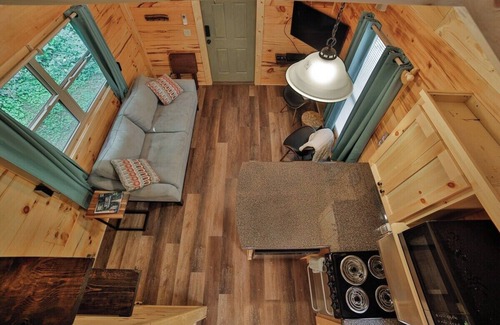 Lookout Valley Neighborhood Association Apartment | River Cabin | Hot Tub & Swim Spa | Near Downtown