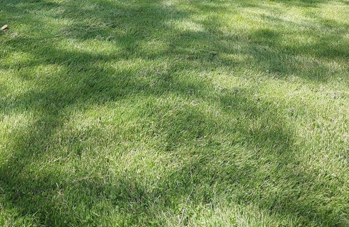 Loudonville House | River Cottage on the Banks of the Mohican River, Couples Retreat, Hike, Firepit