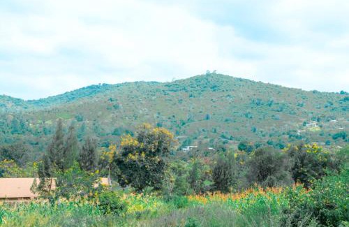 Sagana Bed & Breakfast | River Crest Cottages