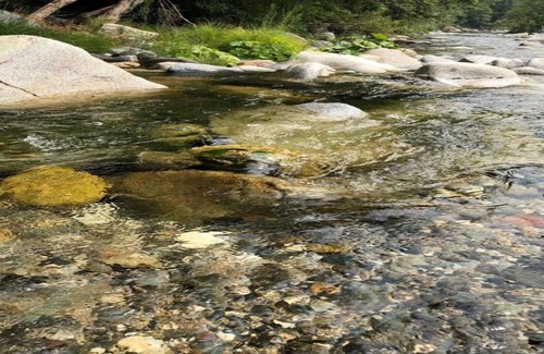 North San Juan Cabin | River Front Cabin on the middle fork of the Yuba River