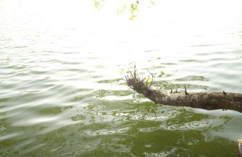 Kovalam House | River Loom