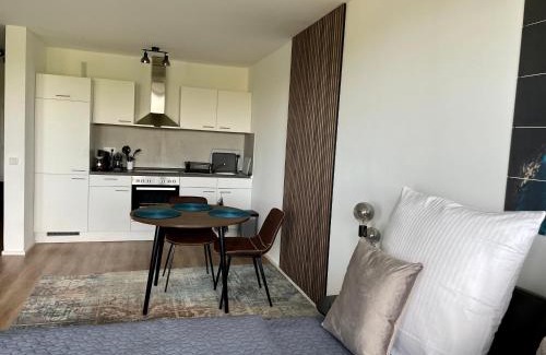 Offenbach am Main Apartment | River Main I Taunus View I Workplace I Kitchen