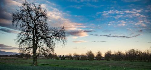 Appleby Bed & Breakfast | River Road Retreat