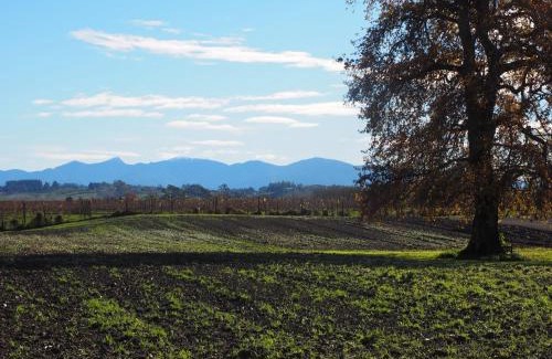 Appleby Bed & Breakfast | River Road Retreat