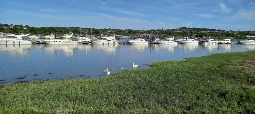 Rochester House | River View