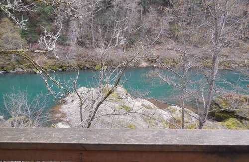 Roseburg House | River Vista Homes: Swim, Fish, and Unwind with Scenic Riverside Views