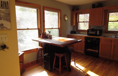 Burnsville Cabin | Riverfront direct access to trout river with tranquil views