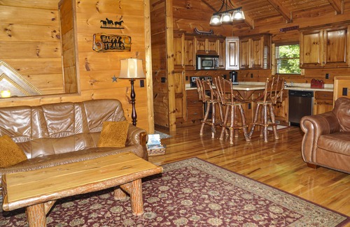 Murphy Cabin | Riverfront Lodge Wifi, Folk School, Casino, Close to Town, HOT TUB