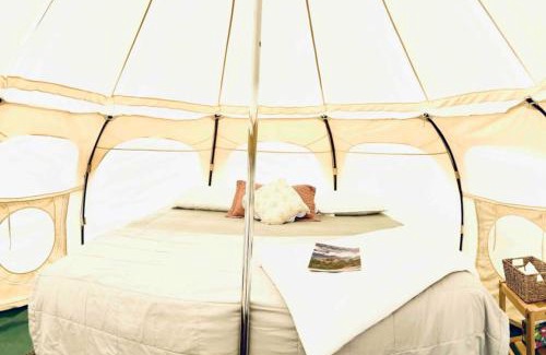 Buena Vista Other | RiverFront Yurt W Breakfast No Fees 13