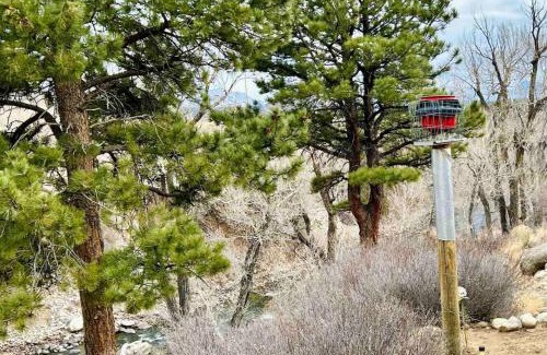 Buena Vista Other | RiverFront Yurt W Breakfast No Fees 13