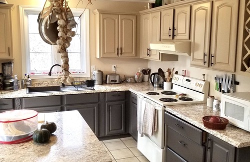 Madoc Cottage | Riverhouse cottage with falls, river swimming and hiking trails