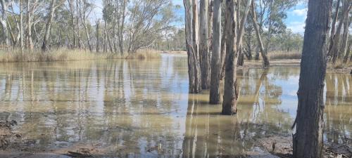 Paringa House | Riversands Rest Accommodation Paringa - River Box Cottage