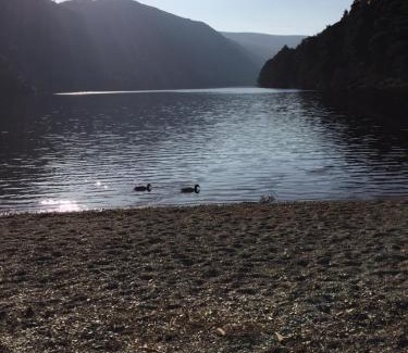 Glendalough House | Riversdale House room only accommodation, A98KD85
