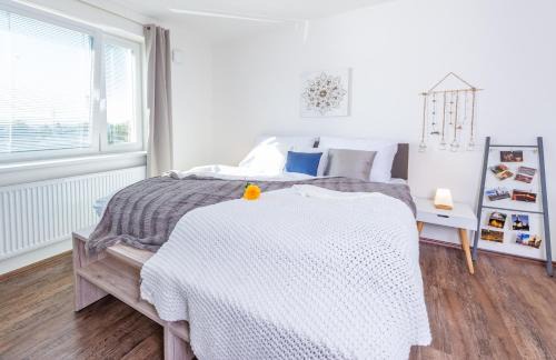 Ceske Budejovice Apartment | Riverside Apartments