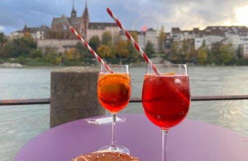 Basel City Centre Apartment | RIVERSIDE - APARTMENTS BASEL deluxe