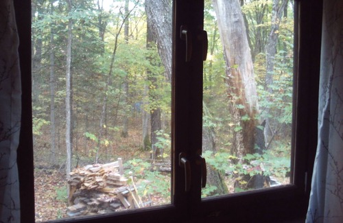Bracebridge Cabin | Riverside cabin in the woods