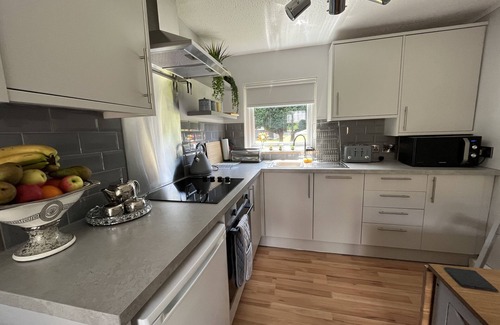 Bont Newydd Cabin | Riverside Cabin with Large Decking Area set in 120 acre Country Park, Snowdonia