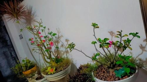 Barra dos Coqueiros House | Riverside house