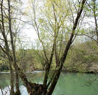 Zagradec House | Riverside House Krka