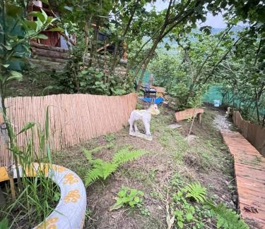 Akcaabat Other | Riverside house