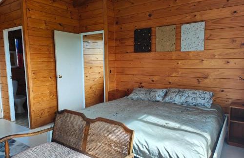 Turangi House | Riverside Loft