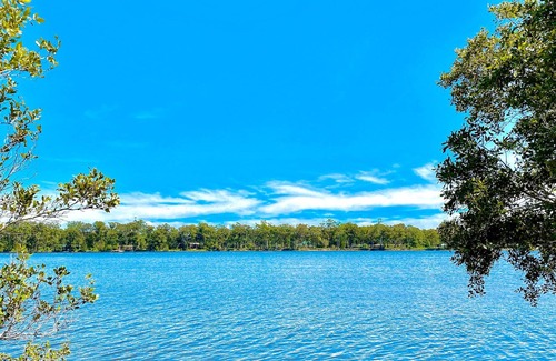 Fernbank Creek Apartment | Riverside Oasis