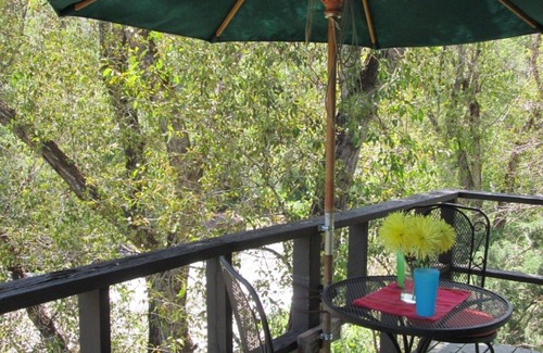 Snowmass Apartment | RIVERSIDE RETREAT on the Roaring Fork River