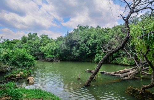 Ramotshere Moiloa Apartment | RiverStill Guest Farm
