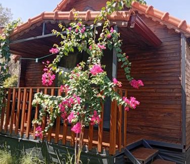 Demre House | Riviera bungalow evleri demre