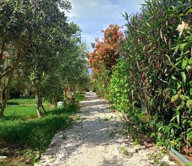 Demre House | Riviera bungalow evleri demre