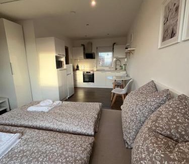 Brno-Lisen Apartment | RK Apartment Holzova
