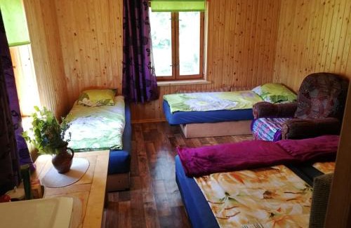 Mikeltornis House | Rožu 20