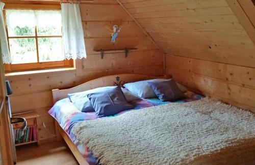 Ochotnica Dolna Ski Chalet | Robakówka