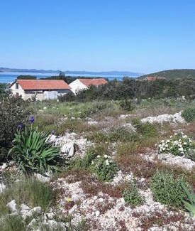 Pasman House | Robinson home in Pašman with Seaview, Terrace (4654-1)