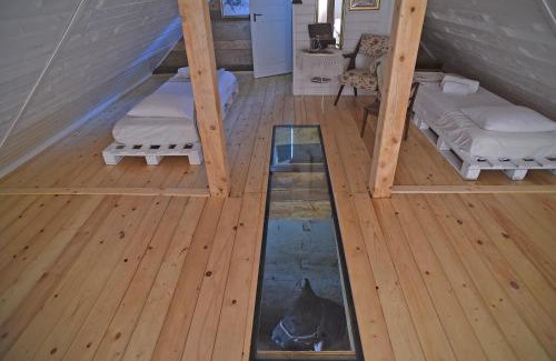Karlovac House | Robinson Horseville