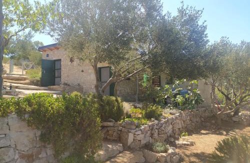Cove Makarac (Milna) House | Robinson house Kata