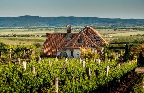 Kutjevo Villa | Robinson Vila Kitokret